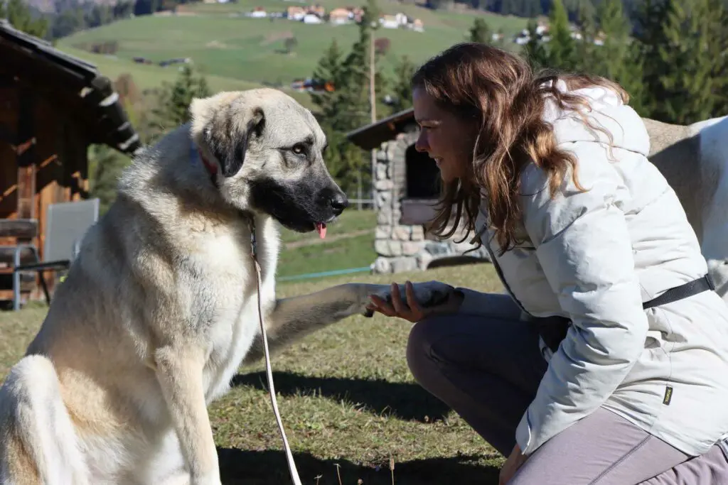 Patrice mit ihrem Hund auf einer Wiese